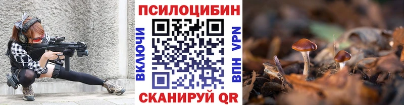 darknet Telegram  Палласовка  Галлюциногенные грибы ЛСД 
